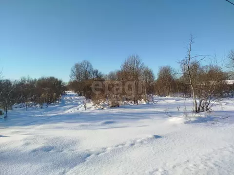 Участок в Псковская область, Остров ул. Энтузиастов (1440.0 сот.)