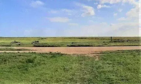 Участок в Крым, Сакский район, Суворовское с/пос, с. Великое ул. ...