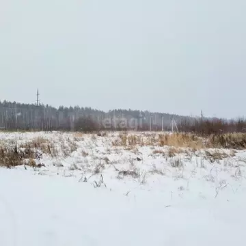 Участок в Ярославская область, Некрасовское рп  (128.5 сот.)