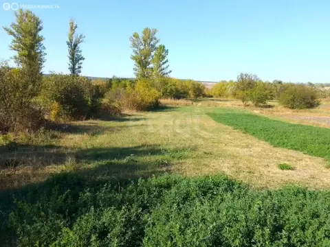 Участок в село Русская Халань, Центральная улица (7.23 м)