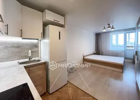 Студия Санкт-Петербург просп. Металлистов, 117 (24.1 м)