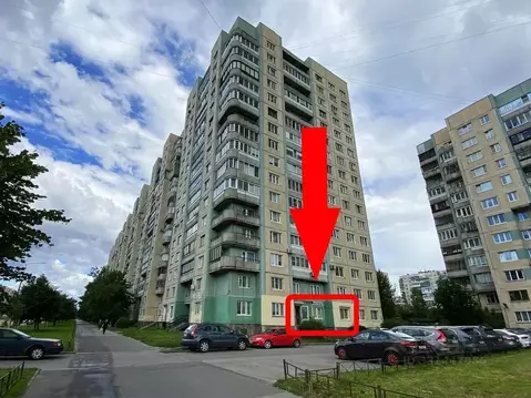 Помещение свободного назначения в Санкт-Петербург просп. Наставников, ...