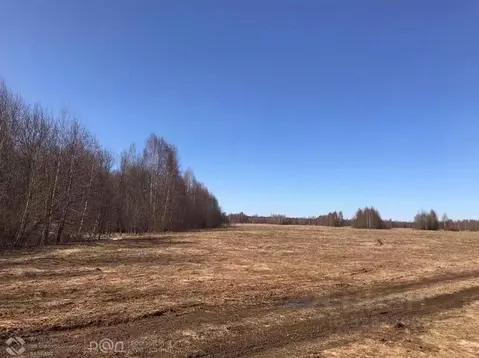 Участок в Псковская область, Пыталово Белорусская ул., 23 (2.4139 ...