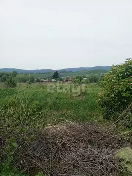 Участок в Алтайский край, Алтайский район, с. Алтайское ул. Зеленый ...