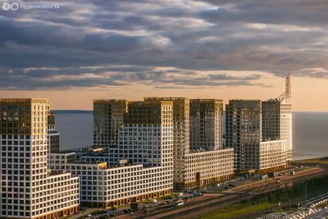 3-комнатная квартира: Санкт-Петербург, улица Челюскина, 10 (100.05 м)