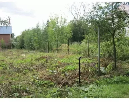 Дом в Ленинградская область, Всеволожское городское поселение, ...