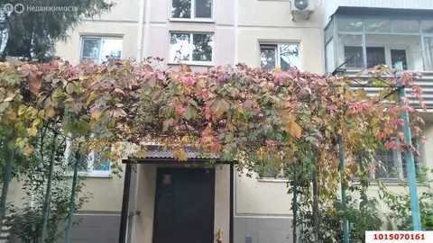 2-комнатная квартира: Краснодар, Ставропольская улица, 179 (41 м)