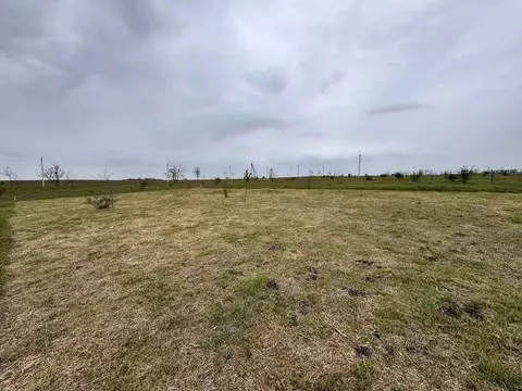Участок в Крым, Симферопольский район, с. Мирное  (6.0 сот.)