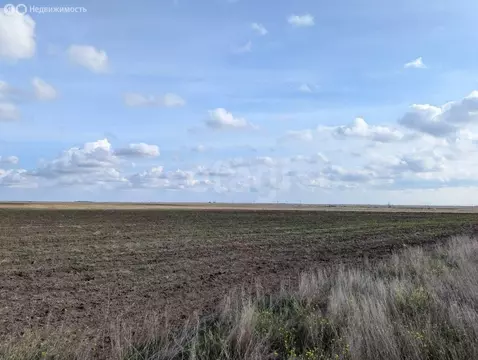 Участок в Оленевка, Объездная улица (364.22 м)