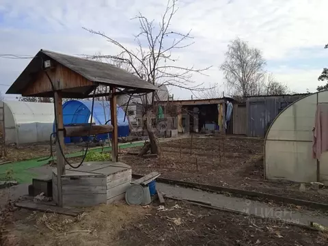 Дом в Курганская область, Курган Березка СНТ, 32 (44 м)