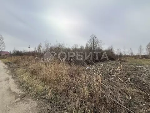 Участок в Тюменская область, Тюмень Садовое товарищество Липовый ...