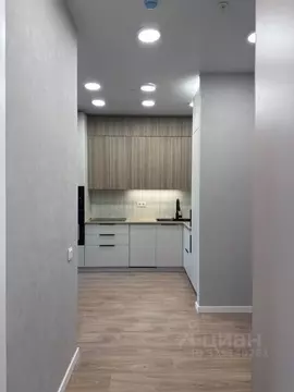 1-к кв. Самарская область, Самара Арцыбушевская ул., 33 (42.0 м)