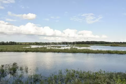 Участок в Оренбургская область, Илекский район, с. Кардаилово  (900.0 ...