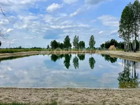Участок в Тюменская область, Нижнетавдинский муниципальный округ, У ...