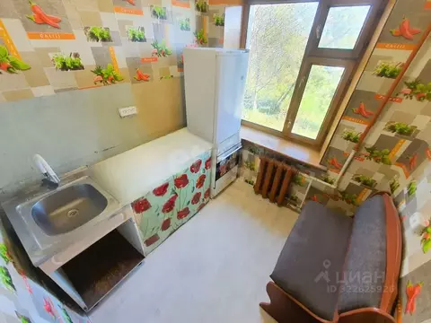 1-к кв. Камчатский край, Елизовский муниципальный округ, с. Сосновка ...