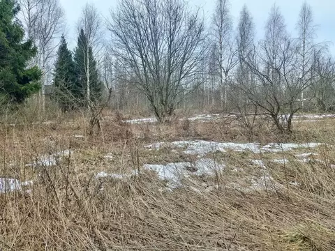 Участок в Вологодская область, Вологда Доронино садоводческое ...