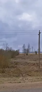 Участок в Тверская область, Осташковский муниципальный округ, д. ...