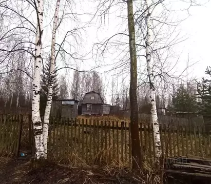 Участок в Вологодская область, Череповецкий район, Тоншаловское с/пос, ...