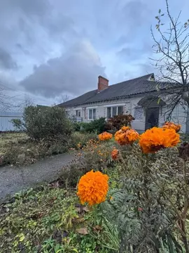 Дом в Брянская область, Брянский район, пос. Мичуринский пер. 1-й ...