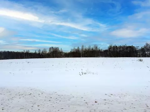 Участок в Московская область, Домодедово городской округ, с. Лобаново ...