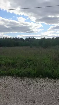 Участок в Кировская область, Киров городской округ, д. Олинцы 6 (10.5 ...