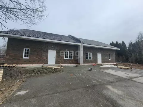 Дом в Пермский край, Добрянский городской округ, с. Висим  (190 м)