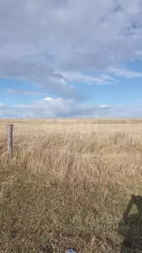 Участок в Амурская область, Благовещенский район, с. Владимировка  ...