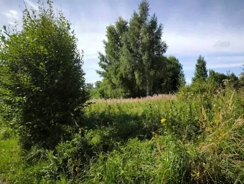 Участок в Московская область, Клин городской округ, д. Василево  (10.0 ...