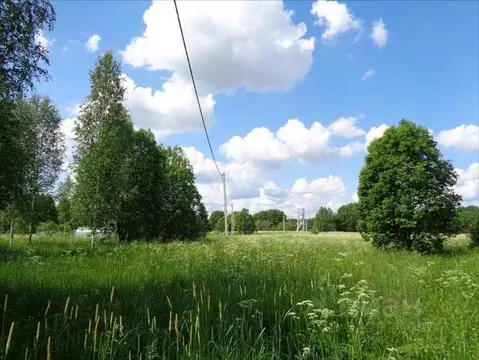 Участок в Ленинградская область, Лужский район, Мшинское с/пос, д. ...