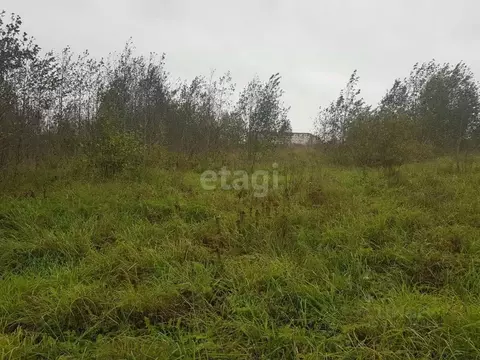 Участок в Вологодская область, Череповецкий район, Югское ...