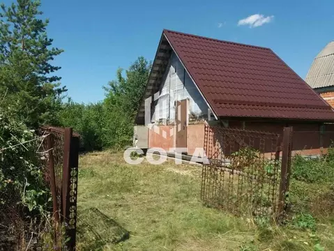 Участок в Воронежская область, Воронеж Отдых СНТ, ул. 19-я, 740 (6.0 ...