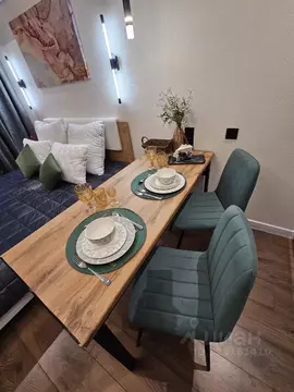 Студия Москва Окружной проезд, 10Б (24.0 м)