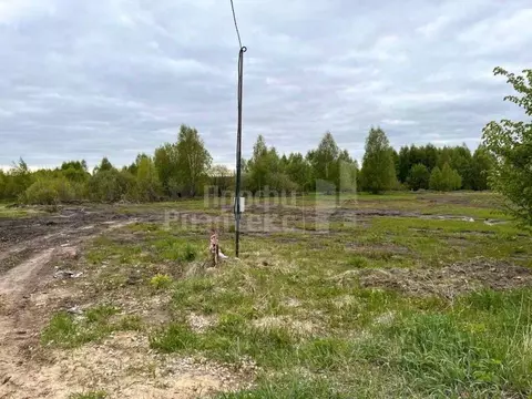 Участок в Нижегородская область, Богородский муниципальный округ, с. ...