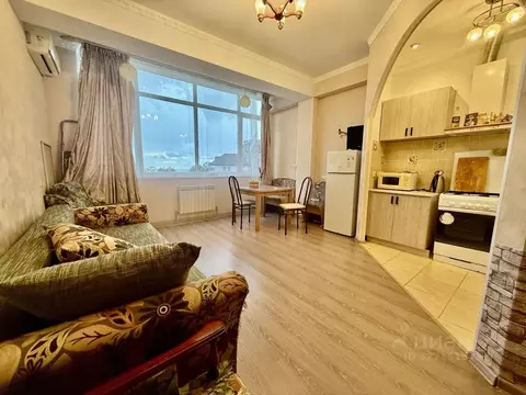 Студия Краснодарский край, Сочи ул. Тимирязева, 51 (33.0 м)