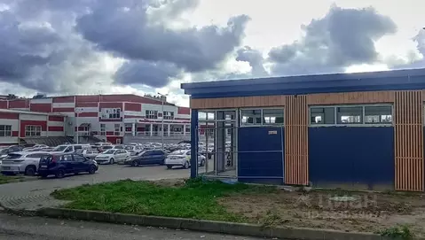 Торговая площадь в Калининградская область, Светлогорск Яблоневая ул., ...