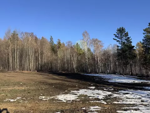 Участок в Иркутская область, Иркутский муниципальный округ, д. ...