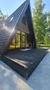 Дом в Новосибирская область, Новосибирский район, с. Боровое  (46 м)