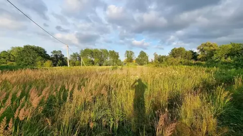 Участок в Калининградская область, Гурьевский муниципальный округ, ...