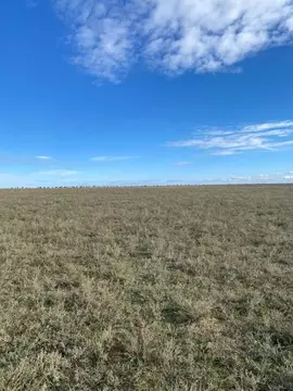 Участок в Крым, Сакский район, Штормовское с/пос, с. Приветное  (6.0 ...