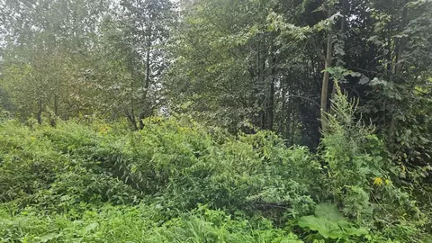 Участок в Калужская область, Мещовск городское поселение, д. ...