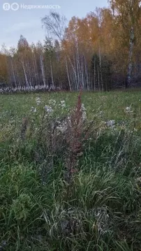 Участок в посёлок Минино, Звёздная улица, 10 (12 м)