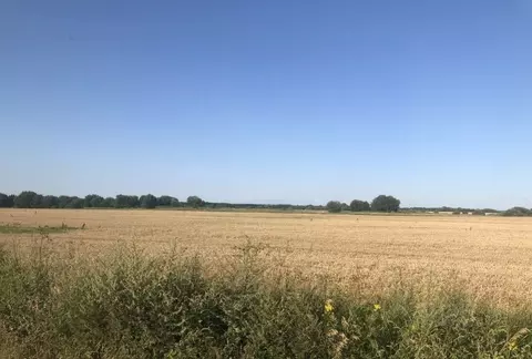 Участок в Калининградская область, Гурьевский муниципальный округ, ...