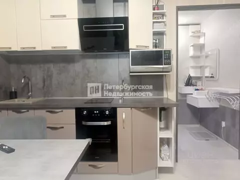 Студия Санкт-Петербург просп. Королева, 59к1 (24.6 м)