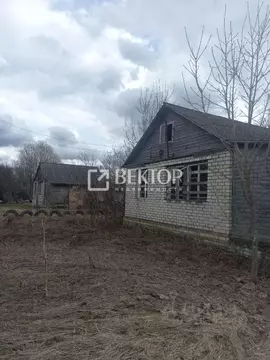 Дом в Ярославская область, Некрасовский муниципальный округ, Бурмакино ...