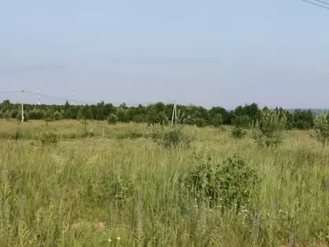 Участок в Калужская область, Тарусский муниципальный округ, Лопатино ...