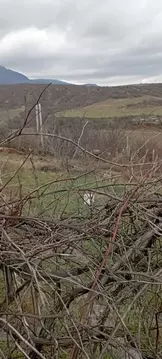 Участок в Крым, Алушта ул. Сиреневая (7.4 сот.)