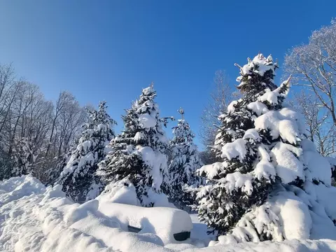 Участок в Московская область, Ступино городской округ, д. Ламоново, ...