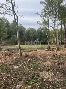 Участок в Карелия, Пряжинский район, с. Святозеро  (15.0 сот.)