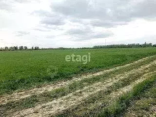 Участок в Ярославская область, Ярославский муниципальный округ, д. ...