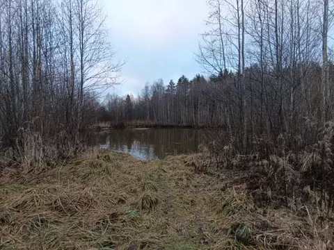 Участок в Ленинградская область, Гатчинский муниципальный округ, ...